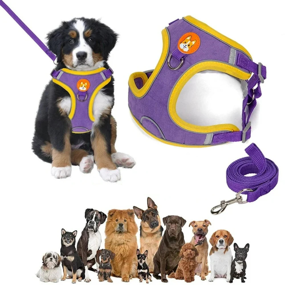 Coleira Peitoral Ajustável para Cachorros - pontos de ajuste