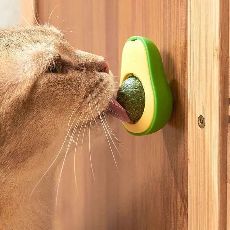 Bolinha de Catnip Adesiva para Gatos