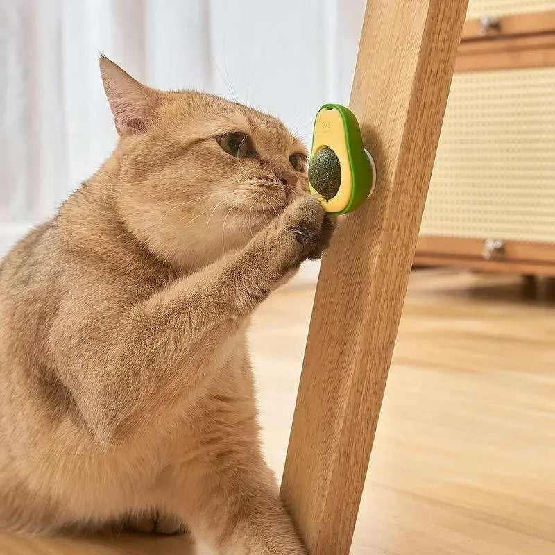 Bolinha de Catnip Adesiva para Gatos