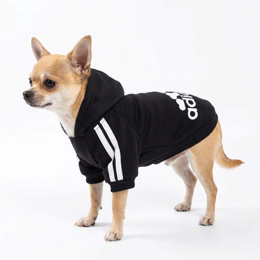 Moletom com Capuz para Pets - vista traseira
