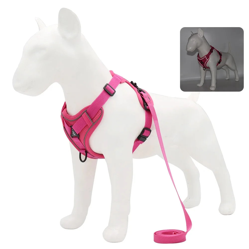 Conjunto Peitoral e Guia para Cachorros