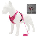 Conjunto Peitoral e Guia para Cachorros