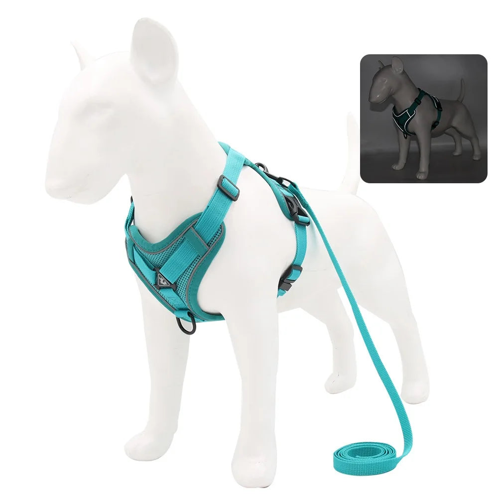 Conjunto Peitoral e Guia para Cachorros