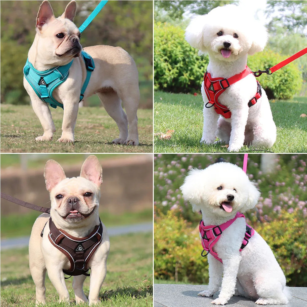 Conjunto Peitoral e Guia para Cachorros - peitoral e guia combinando