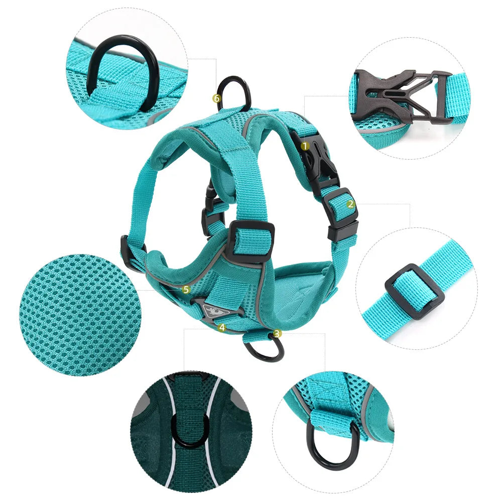 Conjunto Peitoral e Guia para Cachorros - cachorro usando o conjunto