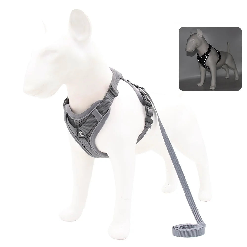 Conjunto Peitoral e Guia para Cachorros - vista do conjunto montado
