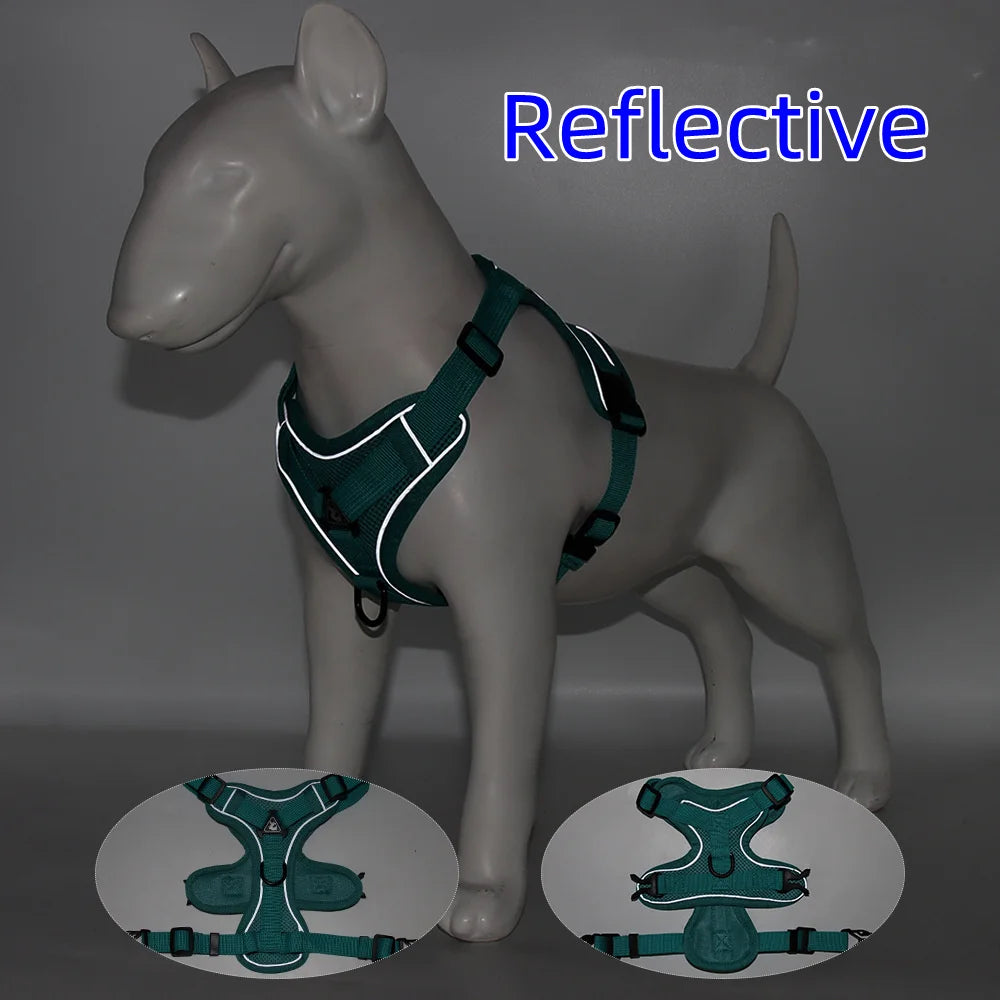 Conjunto Peitoral e Guia para Cachorros - detalhe do fecho