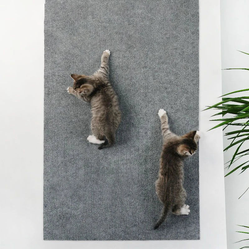 Tapete Arranhador Auto-Adesivo para Gatos