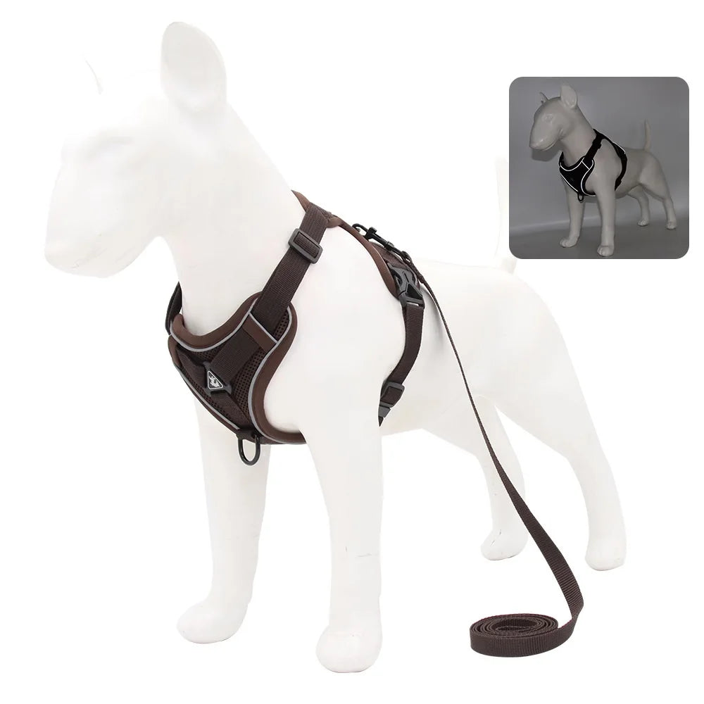 Conjunto Peitoral e Guia para Cachorros - tabela de tamanhos