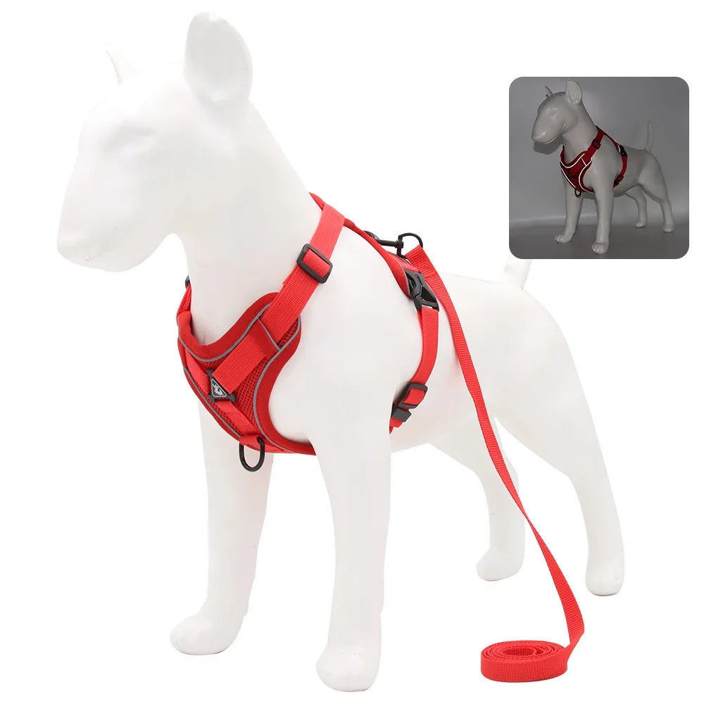 Conjunto Peitoral e Guia para Cachorros - cores disponíveis