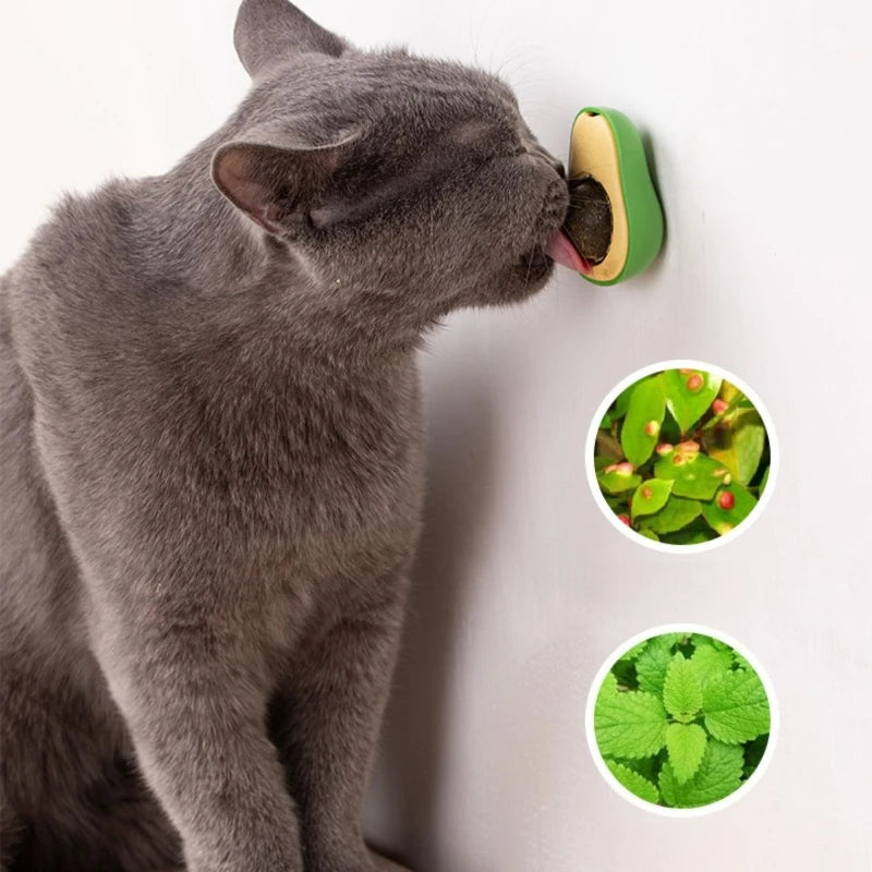 Bolinha de Catnip Adesiva para Gatos