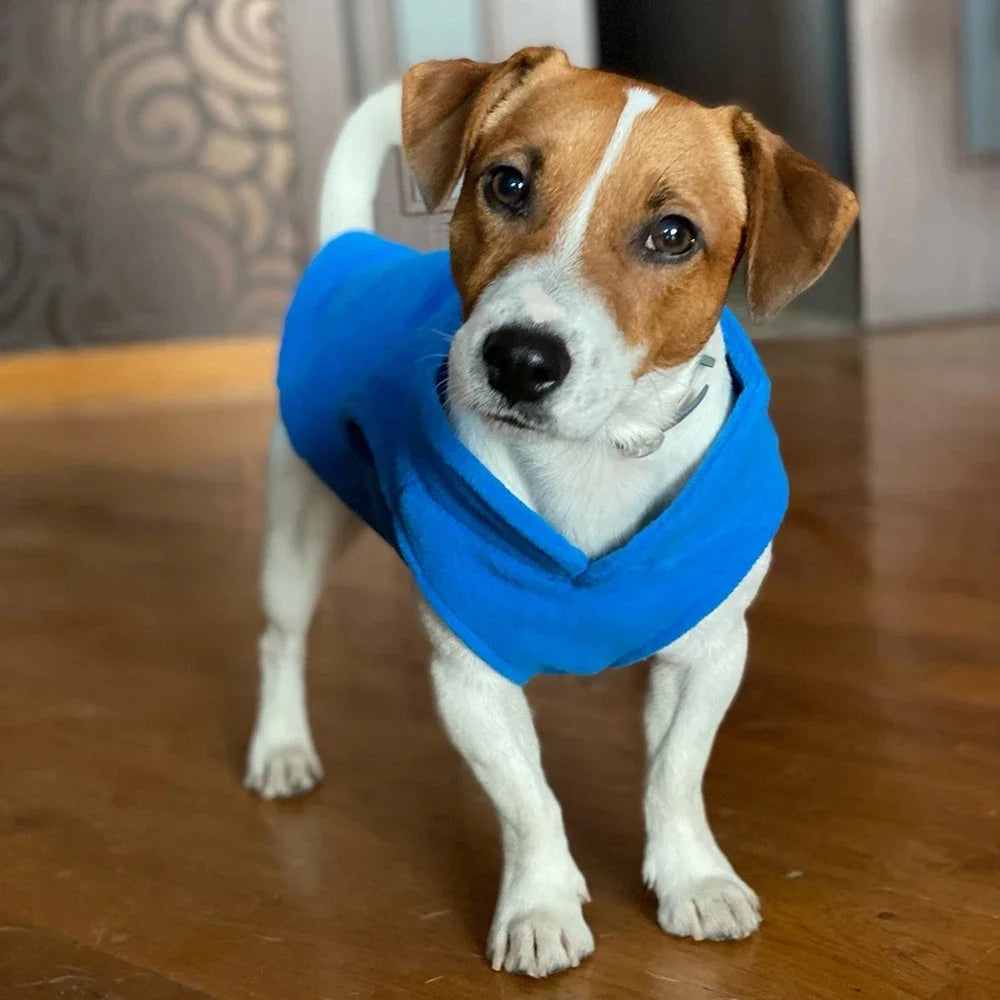 Casaquinho Fleece com Argola para Cães Pequenos