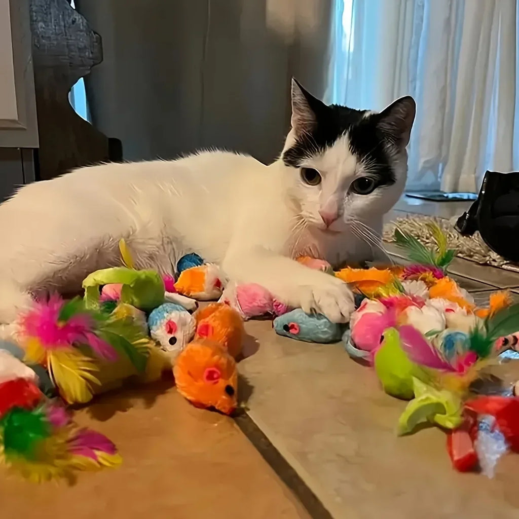 Kit de Brinquedos para Gatos - variedade do kit