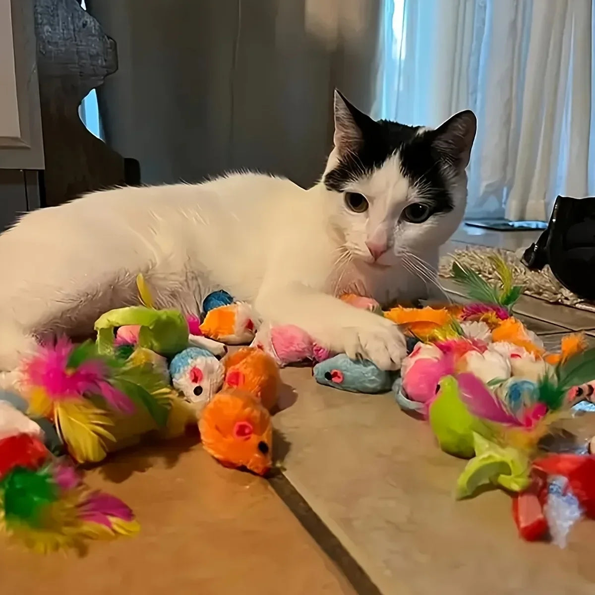 Kit de Brinquedos para Gatos - variedade do kit