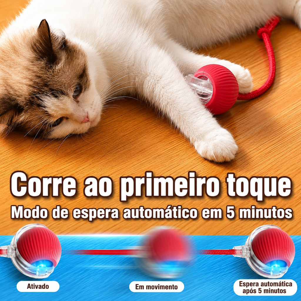 Bolinha Automática para Gatos