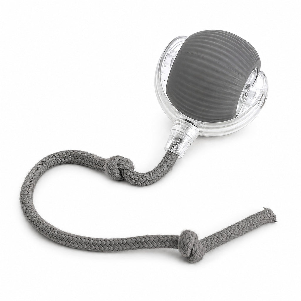 Bolinha Automática para Gatos