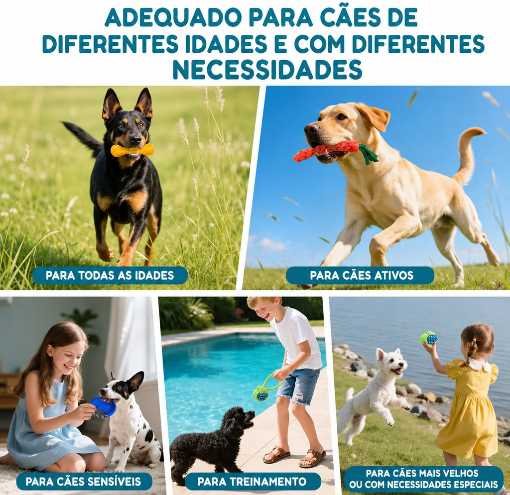 Kit Mordedor para Cachorros