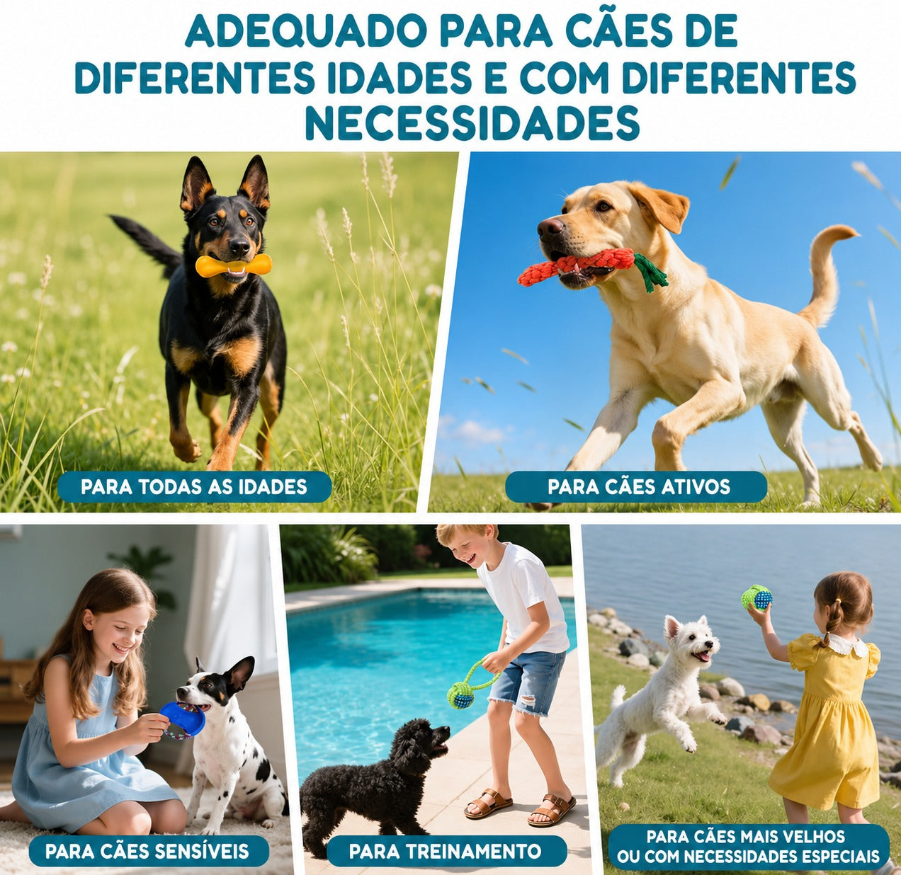 Kit Mordedor para Cachorros