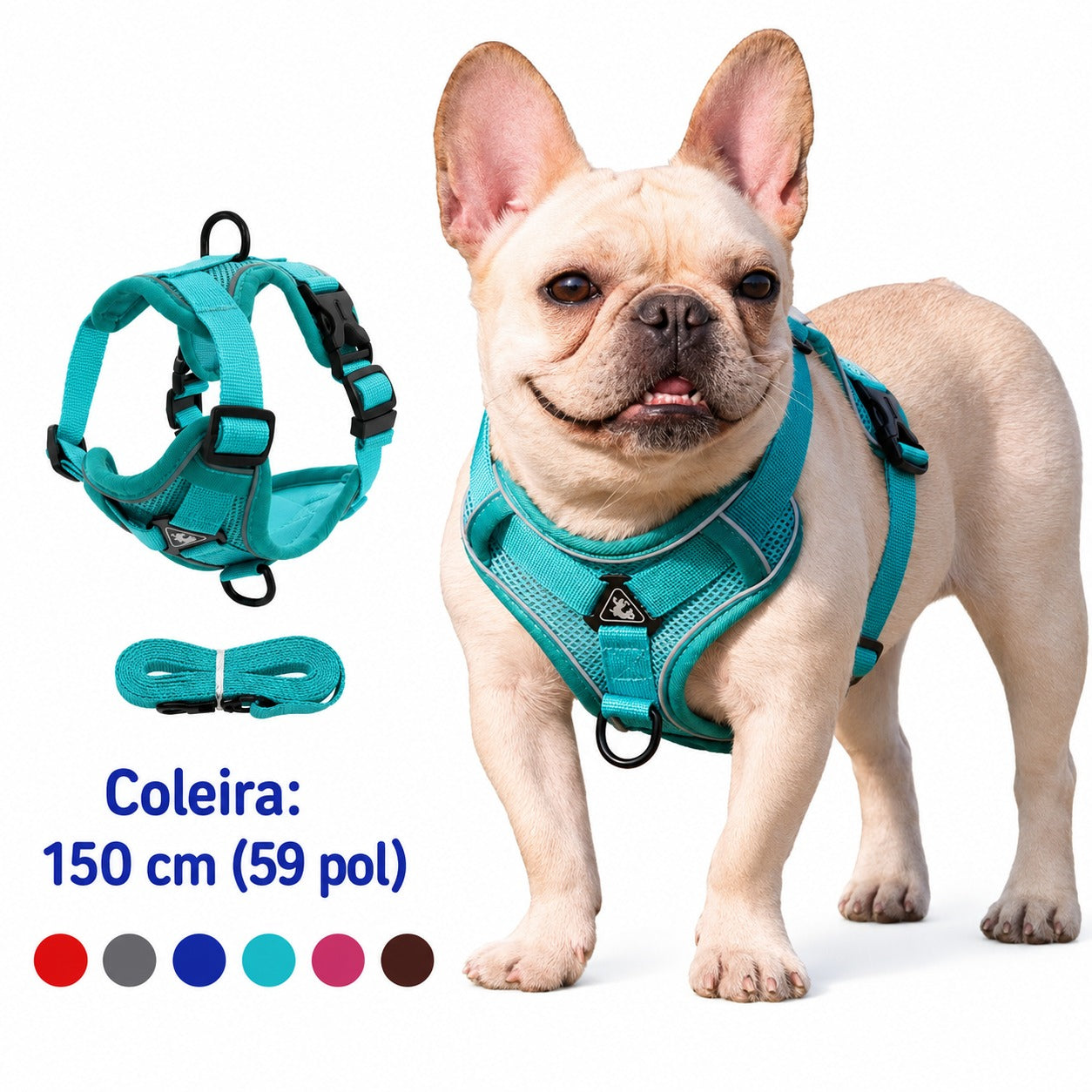 Conjunto Peitoral e Guia para Cachorros