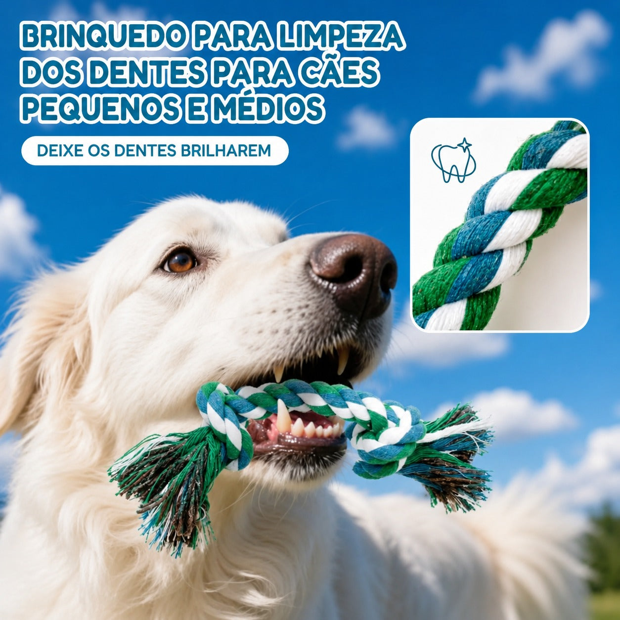 Kit Mordedor para Cachorros