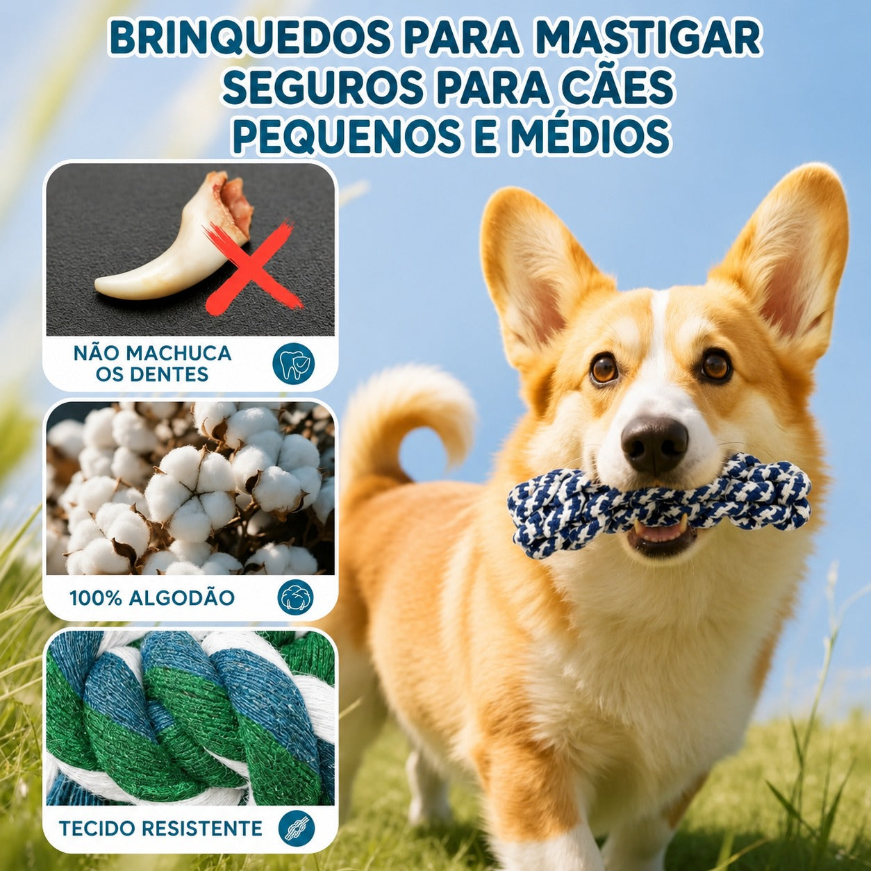 Kit Mordedor para Cachorros